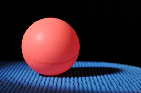 Close up of a ball on a paddleの写真素材