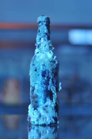Barnacles cover an old bottle from the bottom of the ocean.の写真素材