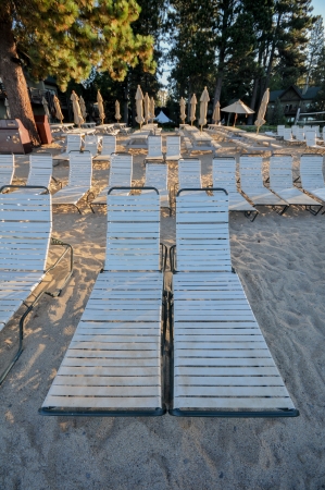 Lounge chairs and umbrellas with pine trees in backgroundの写真素材
