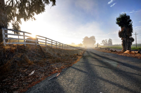 An asphalt road shadowed by a white fence and fog in the wine country