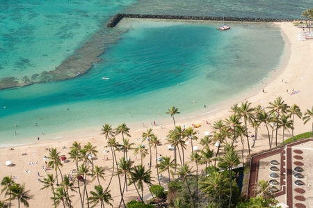Sandy beach lined with palm trees with a breakwaterのeditorial素材