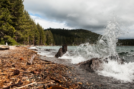 Cascade Lake wave splashes against two tree trunks at the lake edgeの写真素材
