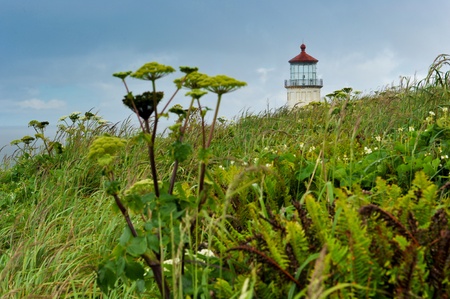 A coastal lighthouse is above a field of grassesの写真素材