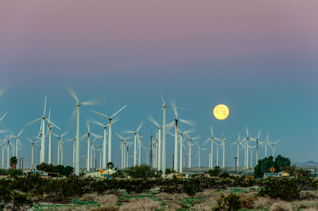 Many wind turbines in the desert during sunrise.の写真素材