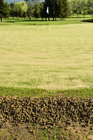 A pile of cores from the aeration process on the side of a greenの写真素材