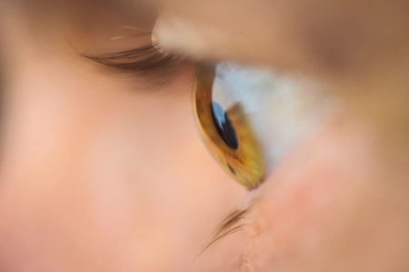 Profile of brown human eye with lashes and blurred background