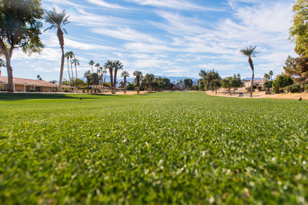 Fairway of a golf course with brow grass in the rough area