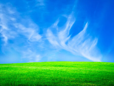 Green fieldの写真素材