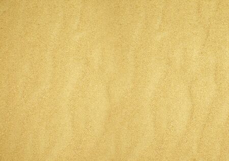 The texture of beach sand.の写真素材