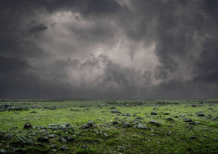 Green field during a thunderstorm.の写真素材
