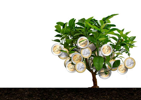 Green tree with fruits in the form of coins.の写真素材