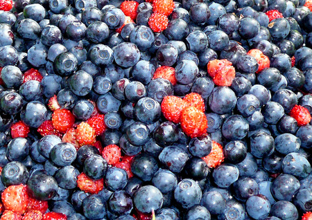 Berry texture forest blueberries and strawberries.の写真素材