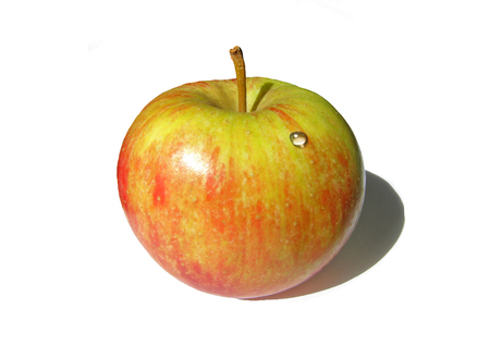 Ripe Apple with water drops on white background.の写真素材