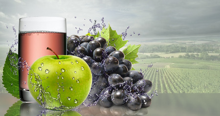 Green Apple and black grapes with a glass of juice.の写真素材