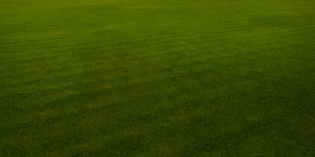 Green Golf coursetexture.
