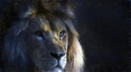 The figure of a lion made of pictures.の写真素材