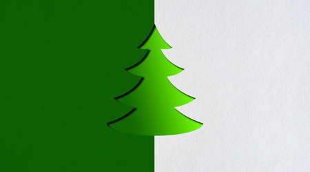 Green tree on a grey and green background.の写真素材