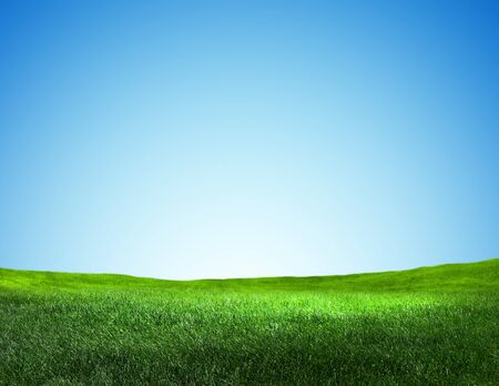 Green field.の写真素材