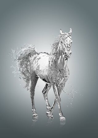 Horse and water.の写真素材