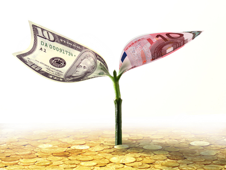 monetary treeの写真素材