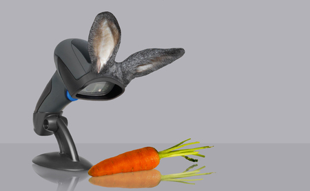 Bunny and carrot.の写真素材