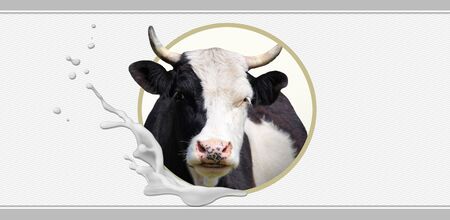 Labels for packaging, selling milk.の写真素材