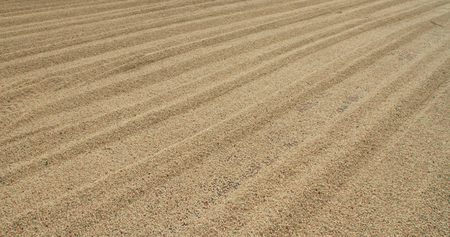 Background texture of sand.の写真素材