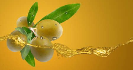 The fruits of olives in olive oilの写真素材