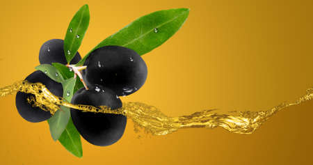Olives in oil.の写真素材