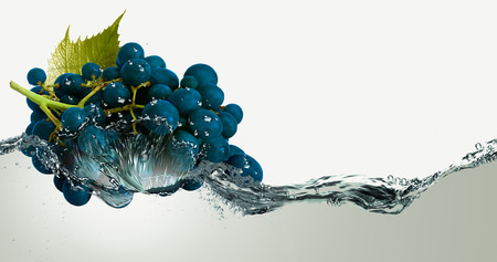 Juicy, black grape in spray of water.の写真素材