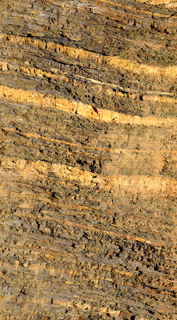 cut texture earth ground.の写真素材