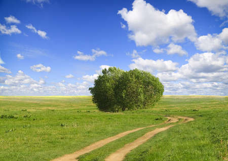 Beautiful summer landscape.の写真素材