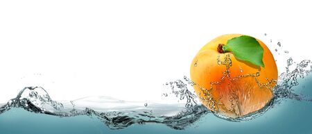 Yellow, juicy apricot as the card on water background.の写真素材