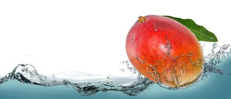Tropical fruit mango in a spray of water.の写真素材