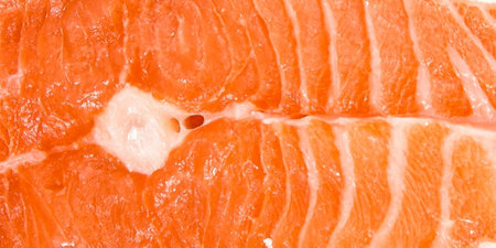 The texture of red fish section.