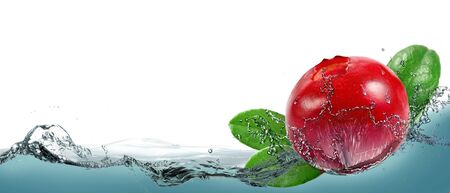 Ripe berry cranberries and splashing water.の写真素材