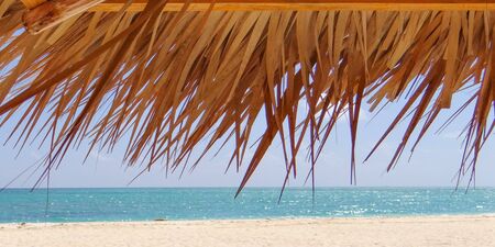 The coast line of the beach on a background of palm leaves.の写真素材