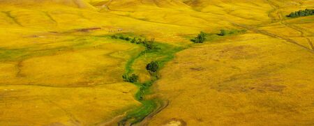 Rural farm between yellow summer hills.の写真素材
