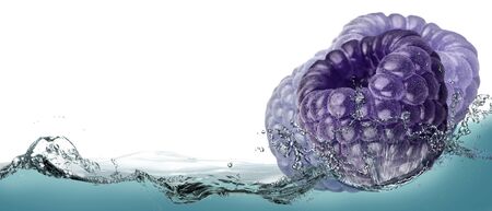 Berries of fresh blackberry in a spray of water.の写真素材