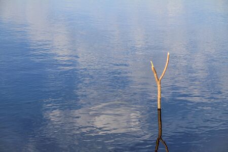 Water surface on the lake. Water landscapeの写真素材