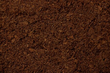 The texture of dry brown peat closeup.の写真素材