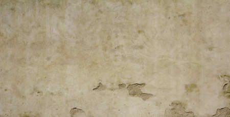 Texture of the old wall of the house.の写真素材