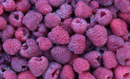 The harvested harvest of ripe raspberries. Background.