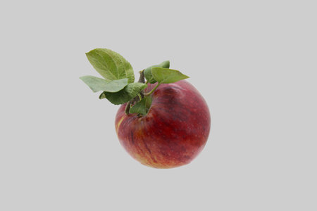 Red, ripe apple with leaves isolated on gray background.の写真素材
