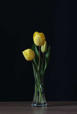 Yellow tulips in a crystal vase on a dark background.の写真素材