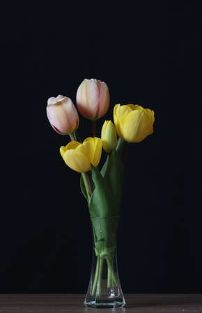 Pink and yellow tulips in a crystal vase on a dark background.の写真素材
