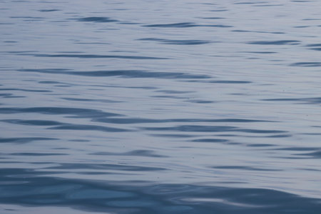 The surface of the sea during the day during calm periods.の写真素材