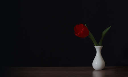 Red tulip flower in a vase, on a black backgroundの写真素材