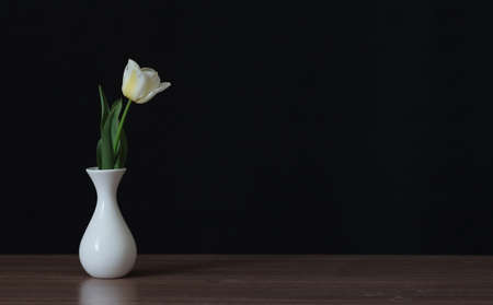 White tulip flower in a white vase on a black soft background.の写真素材