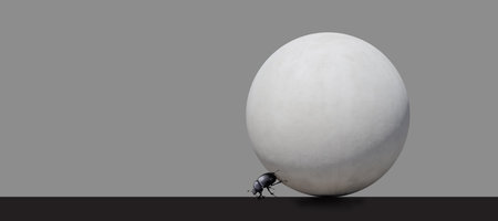 Abstraction, dung beetle rolls a concrete ball on an isolated gray background.の写真素材